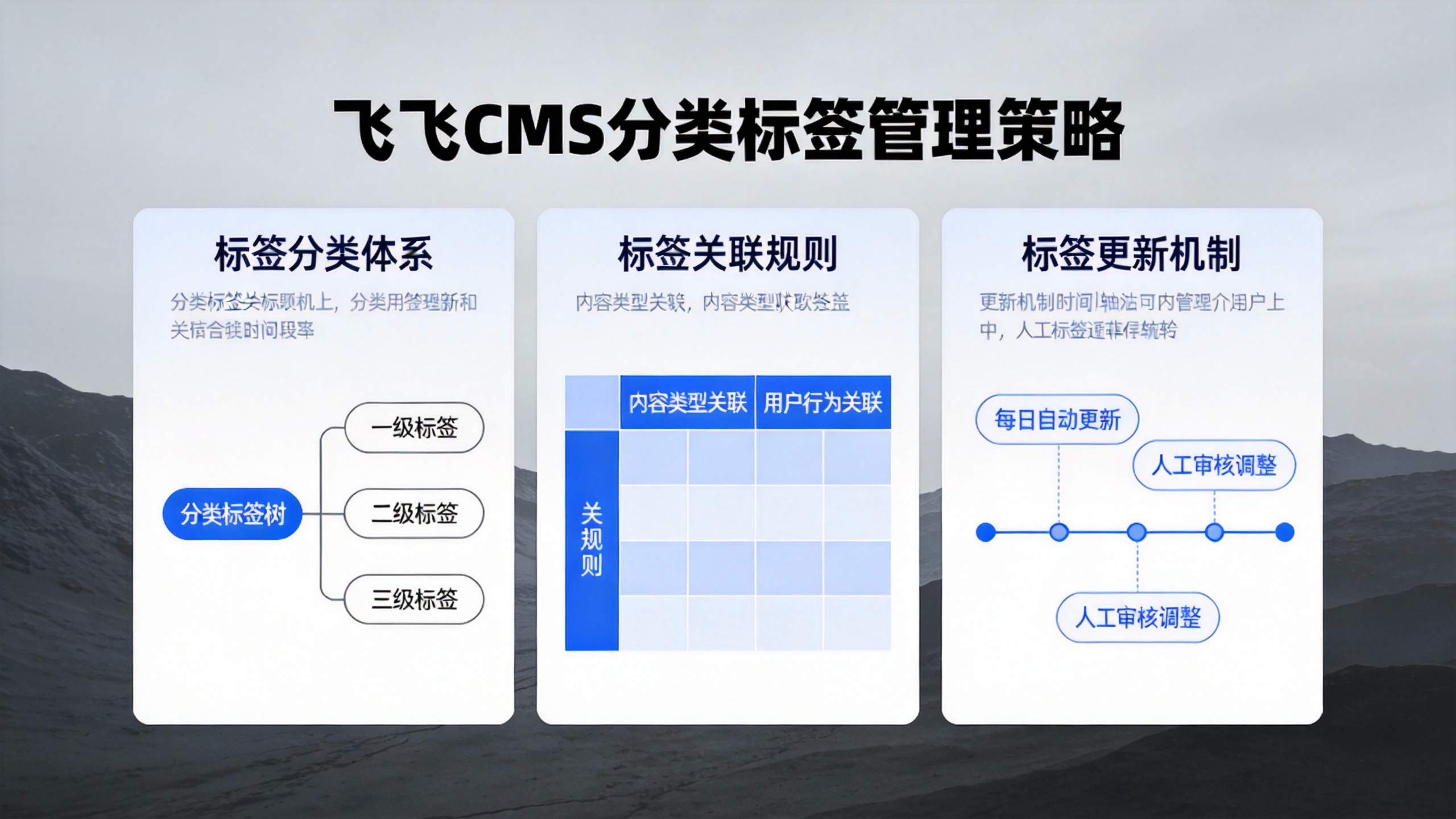 飞飞CMS分类标签管理策略